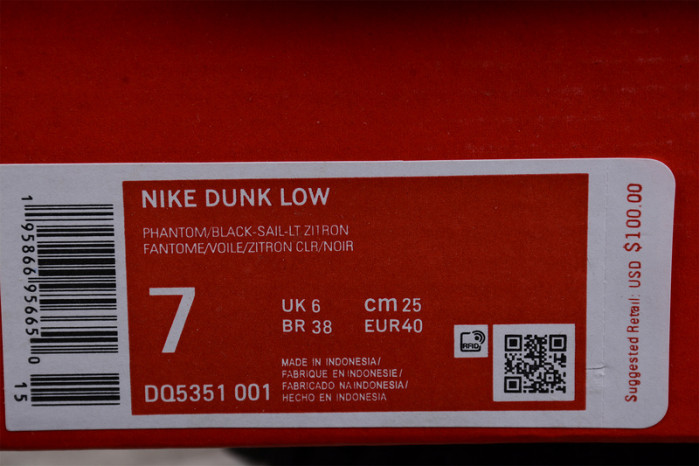 NIKE DUNK LOW “YEAR OF THE TIGER” DQ5351-001